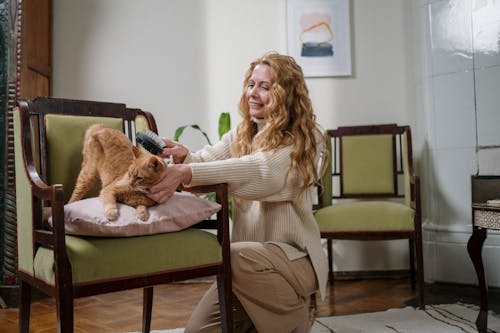 Free Woman Brushing Her Pet Cat Stock Photo